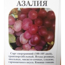 Виноград Азалия ВС
