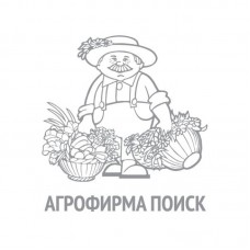 Морковь Берликум Роял  (ЧБ) 2 гр  П