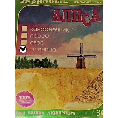 Пшеница-300 гр АЛИСА